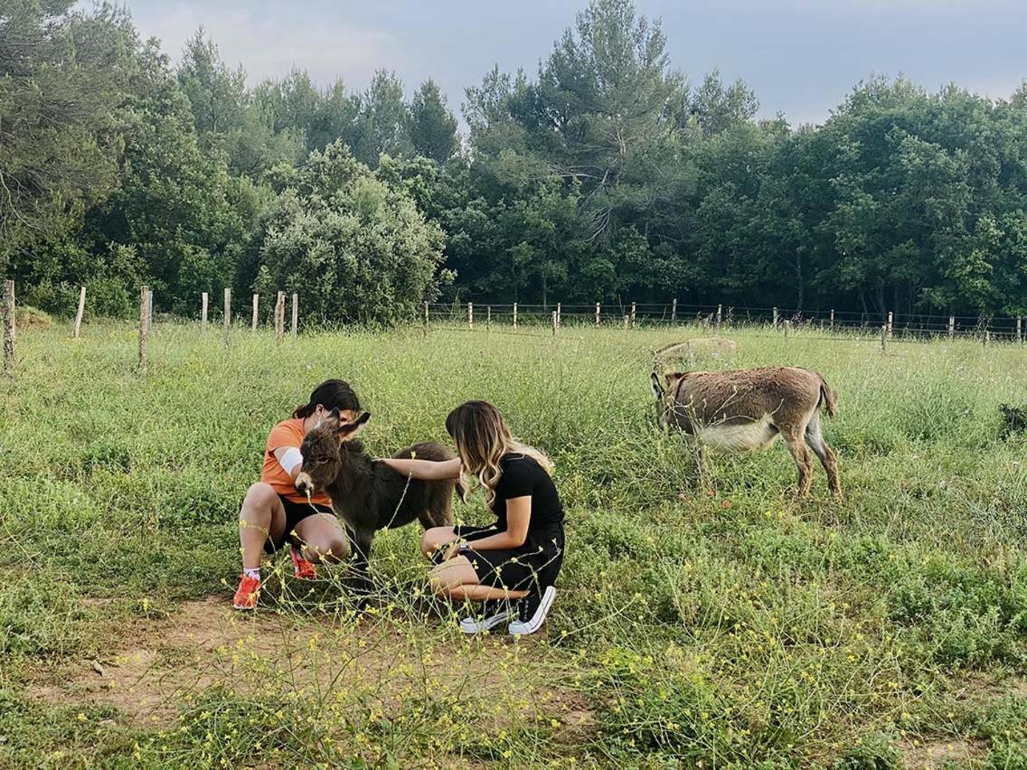 Вілла Centre Mediation Equine La Daouste Jouques Екстер'єр фото