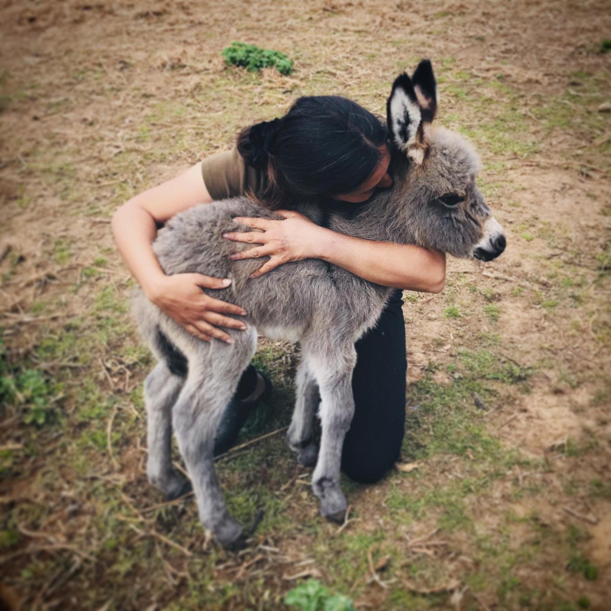 Вілла Centre Mediation Equine La Daouste Jouques Екстер'єр фото